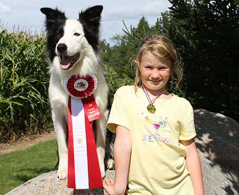 Dog Events on the Bruce Peninsual